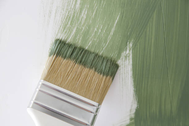 Best Water Damage & Mold Remediation  in Laingsburg, MI