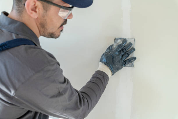 Best Post-Remediation Verification Testing  in Laingsburg, MI