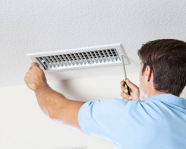 Best Basement Mold Removal  in Laingsburg, MI