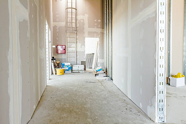 Best Crawl Space Mold Remediation  in Laingsburg, MI