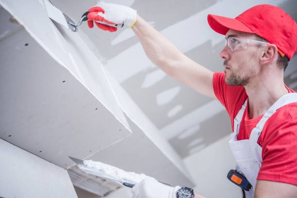 Professional Mold Removal in Laingsburg, MI