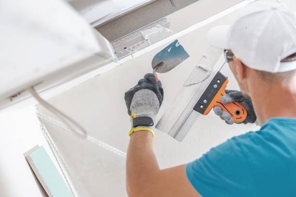 Best Forensic Mold Investigation  in Laingsburg, MI